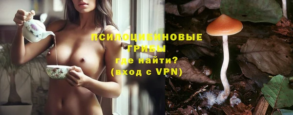гашик Аркадак