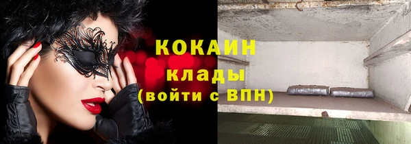 гашик Аркадак