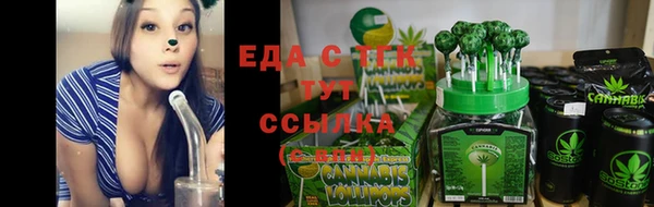 гашик Аркадак