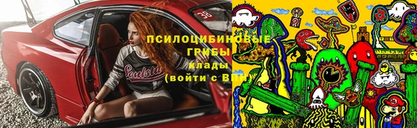 a pvp Арсеньев