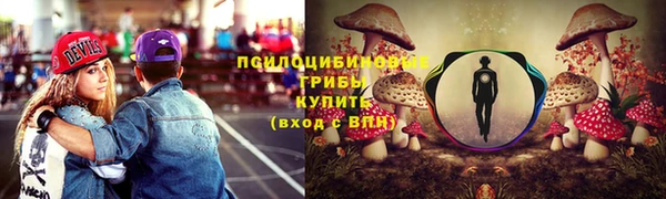 a pvp Арсеньев