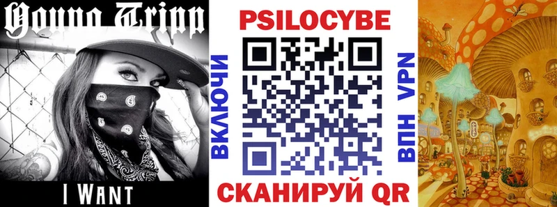 Псилоцибиновые грибы мицелий Покачи